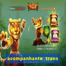 acompanhante trans em porto alegre